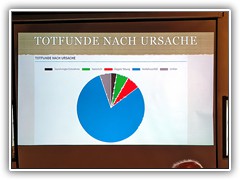 die häufigste Todesursache ist der Verkhrsunfall